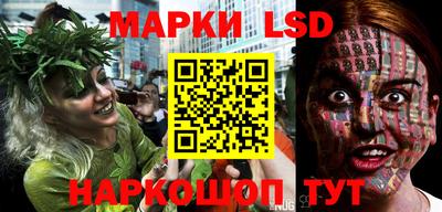 спиды Кимры