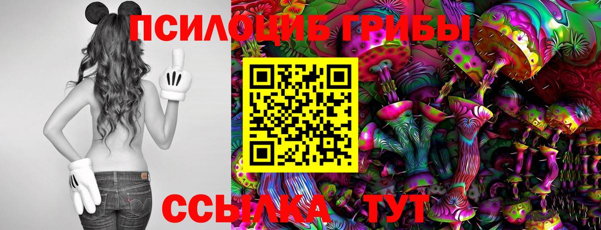 Псилоцибиновые грибы MAGIC MUSHROOMS  Вход с VPN  Лесной 