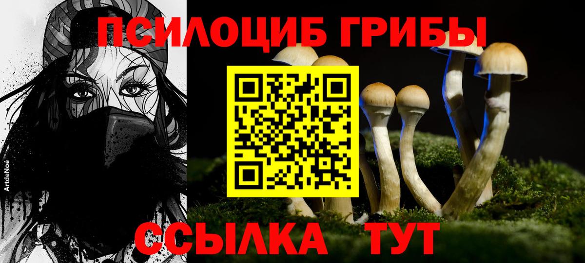 Галлюциногенные грибы мухоморы Лесной